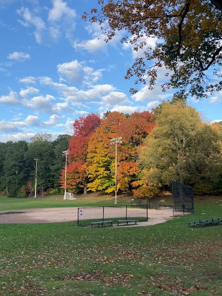 Daisy Field — Boston, Massachusetts (2)