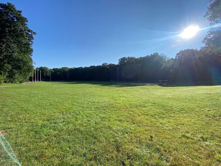 Daisy Field