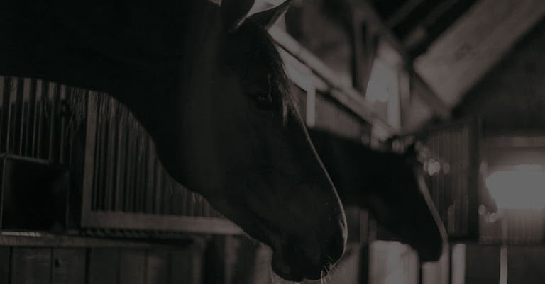 Dallas Equestrian Center — Equestrian venue in Dallas, Texas