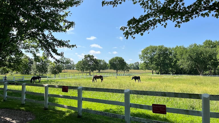 Danada Equestrian Center – Forest Preserve District of DuPage County