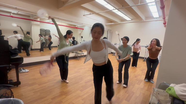 Dance For The People 舞蹈工作室Inc — Flushing, New York (3)