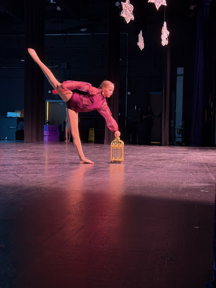 Dancers Ink LLC — Mesa, Arizona (2)