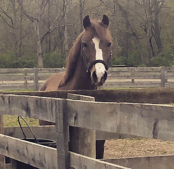 Darby Creek Horse Farm LLC