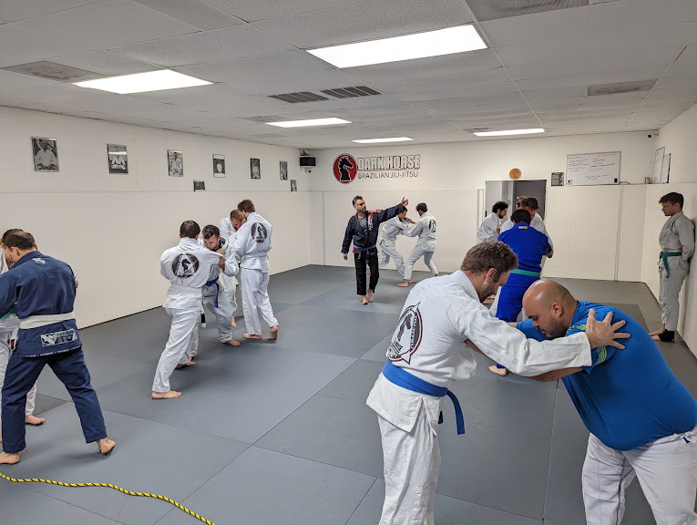 Dark Horse Combat Club — Denver, Colorado (2)