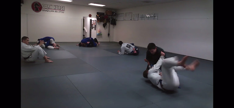 Dark Horse Combat Club — Denver, Colorado (3)