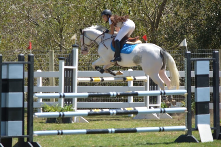 Debacs Equestrian Center — Equestrian venue in El Paso, Texas