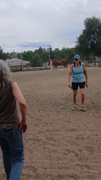 Denver Equestrians Riding School — Littleton, Colorado (3)