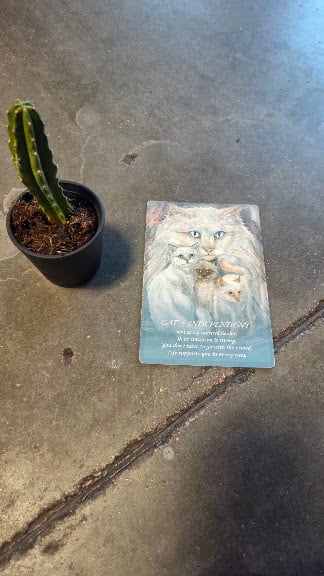 Denver - Yoga Social — Denver, Colorado (2)