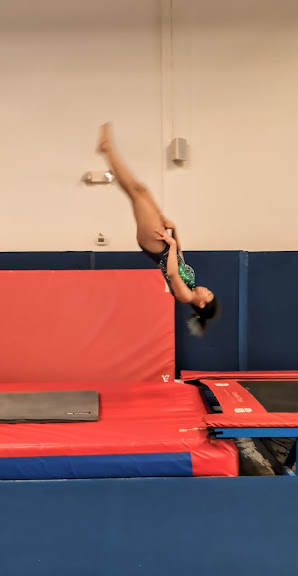 Desert Tumbling