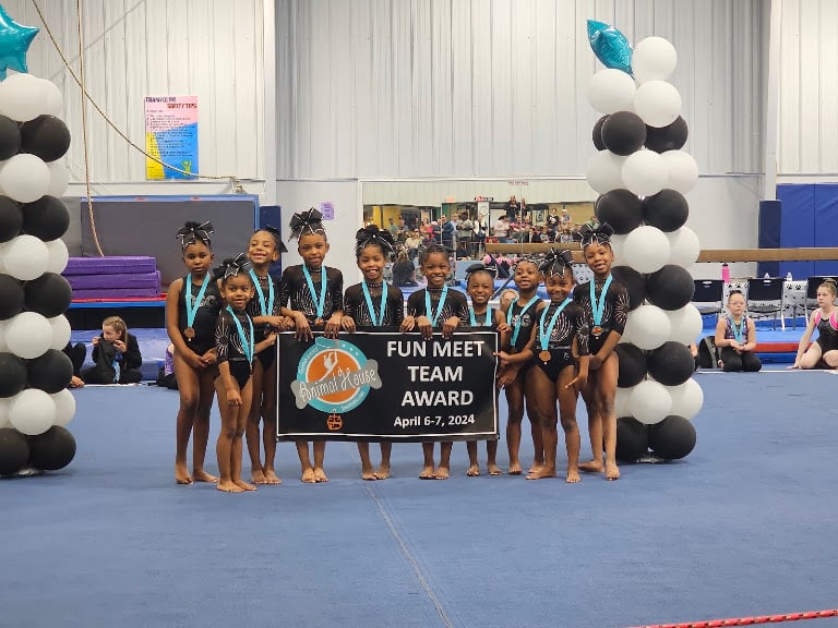 Detroit School Of Gymnastics