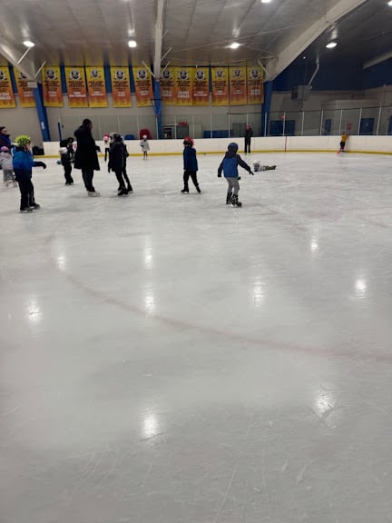 Detroit Skating Club — Ice Skating venue in Michigan