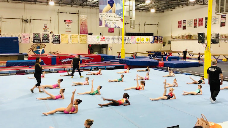 Discover Gymnastics — Houston, Texas (3)