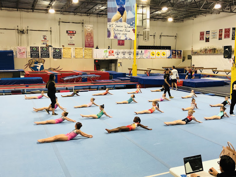 Discover Gymnastics