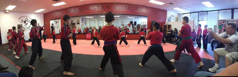 Dragon Star Kung Fu
