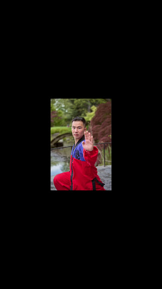 Dragon Warriors Taekwondo & Martial Arts — Flushing, New York (3)