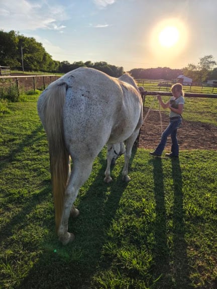 Dream Maker Ranch: Owasso’s Premier Equine Facilty