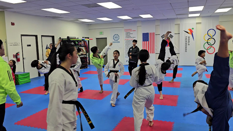 Dreamkick Taekwondo — San Jose, California (2)