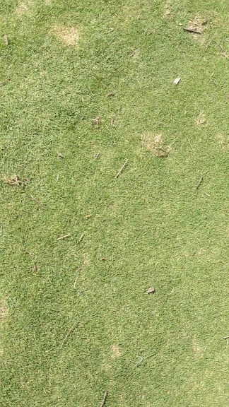 Dubsdread Golf Course — Orlando, Florida (3)
