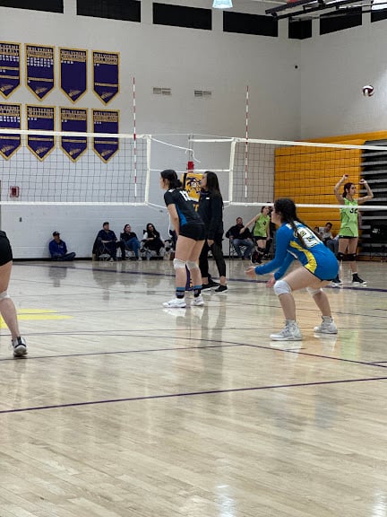 Duke City Volleyball Athletics