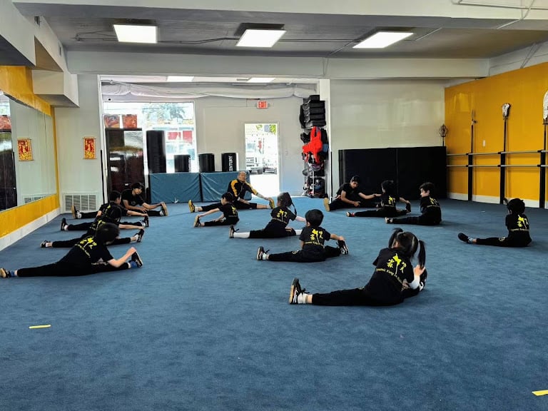 Dynamic Kung Fu Academy 跃动功夫学院