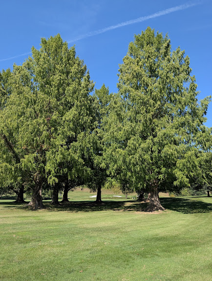 Eagle's Nest Country Club — Phoenix, Maryland (2)