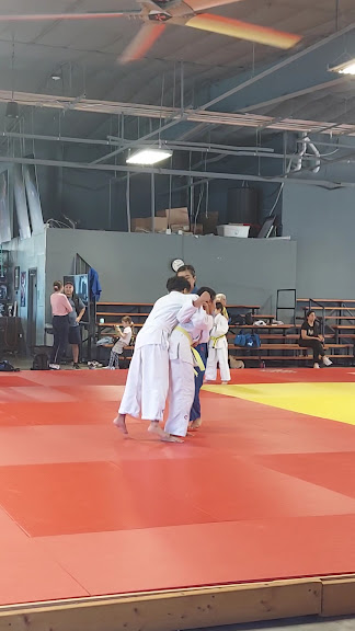 Eastside Dojo — Plano, Texas (3)