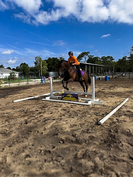 Eclipse Training & Trails — Equestrian venue in Orlando, Florida