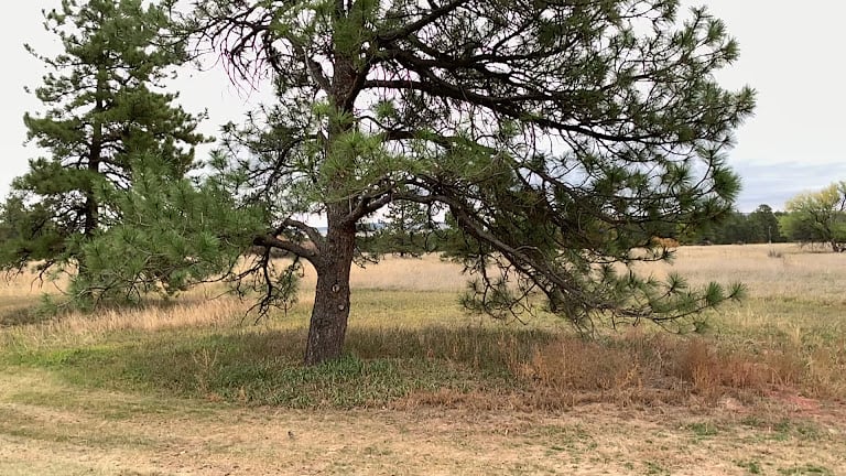 Eisenhower Golf Course — Air Force Academy, Colorado (3)