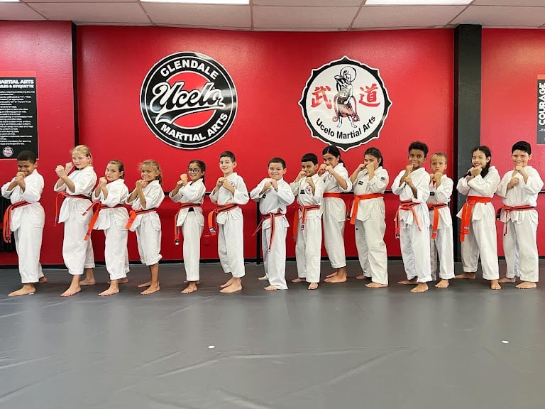 Elevate Martial Arts Glendale — Glendale, Arizona (2)