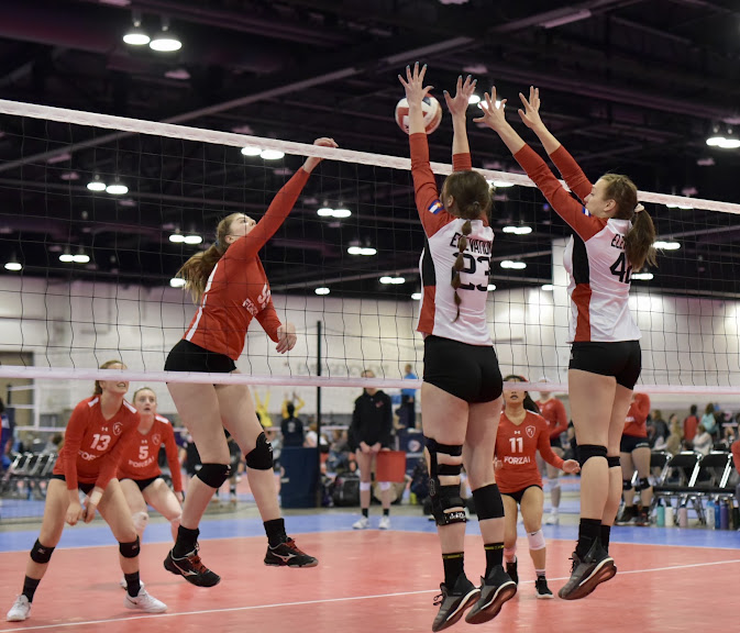 Elevation Volleyball Club