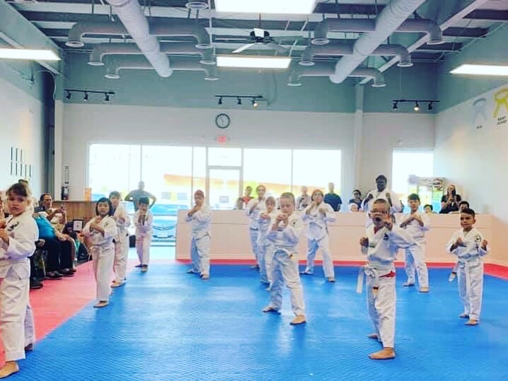 Elite Eagle Taekwondo (Cypress) — Cypress, Texas (2)