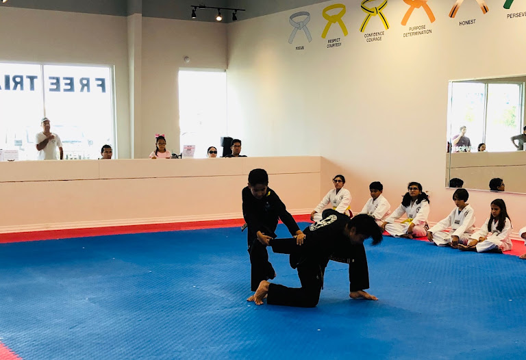 Elite Eagle Taekwondo (Cypress) — Cypress, Texas (3)