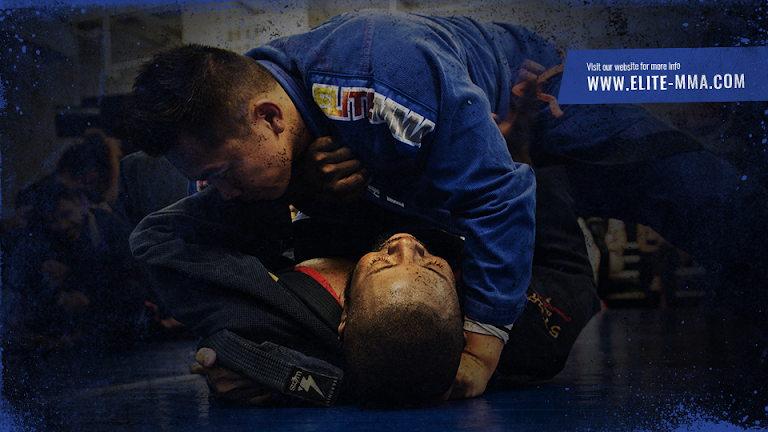 Elite Mixed Martial Arts – Westchase — Martial Arts venue in Texas