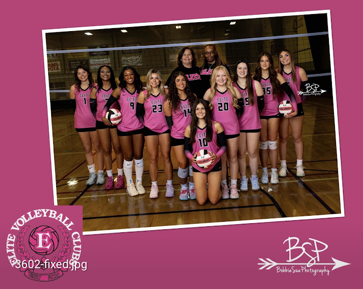 Elite Volleyball Clubs