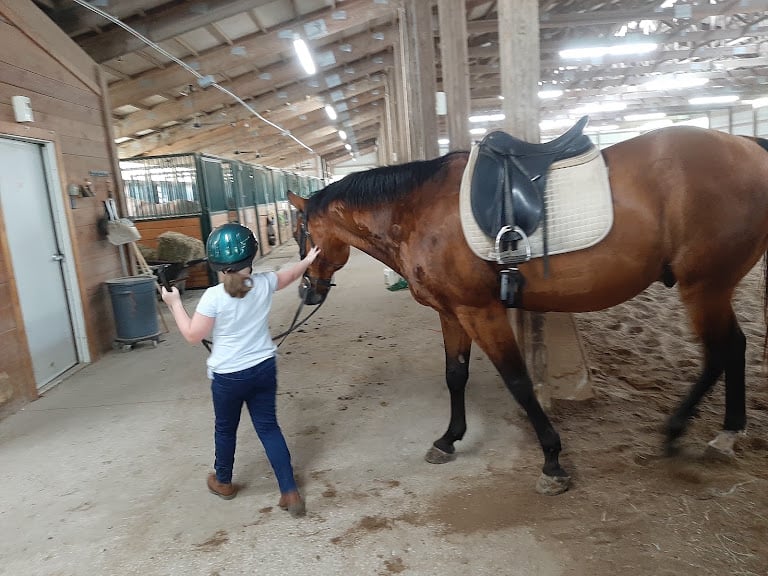 Emerald Equestrian Center — Equestrian venue in Missouri