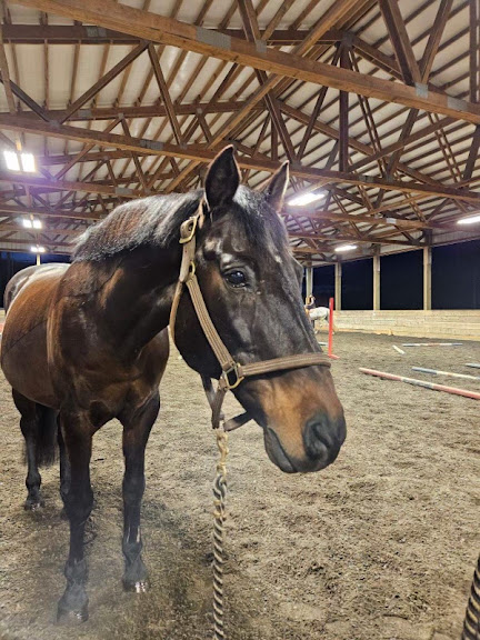 Emerson Equestrian — Ridgefield, Washington (2)