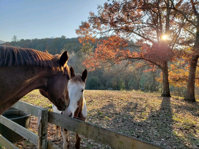 Encore Stables