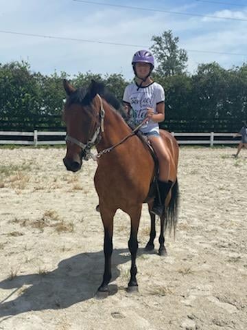 Escape with horses — Winter Garden, Florida (2)
