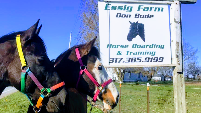 Essig Farms Equine Boarding