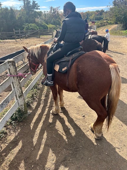 Establo caballos – Piscataway Riding Stables Inc