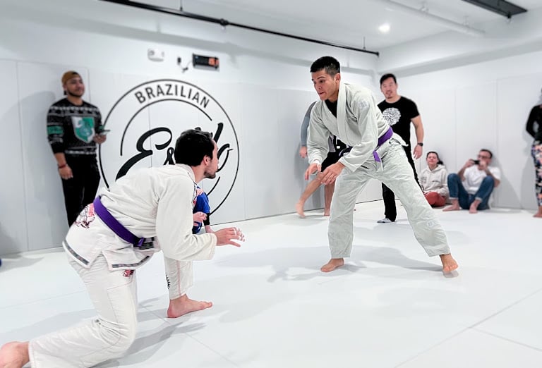 Estilo Jiu Jitsu