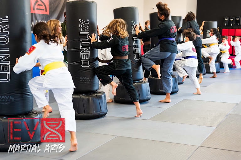 Evolution X Martial Arts — Atlanta, Georgia (2)