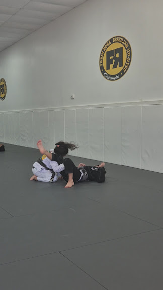 Fabin Rosa Brazilian Jiu Jitsu Academy — Orlando, Florida (3)