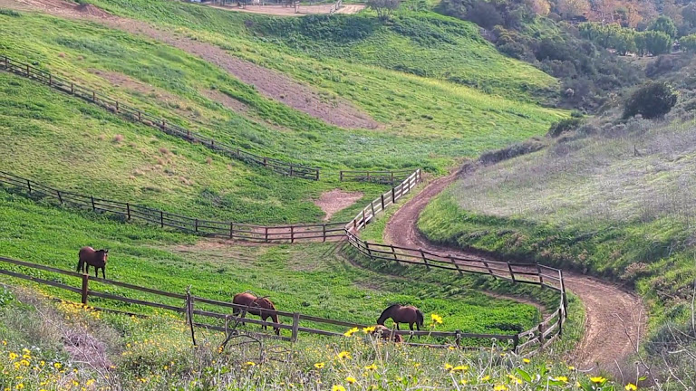 Fair Hills Farms — Topanga, California (2)
