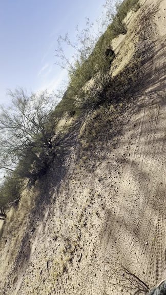 Fantasy Island Mountain Bike Park (North) — Tucson, Arizona (3)