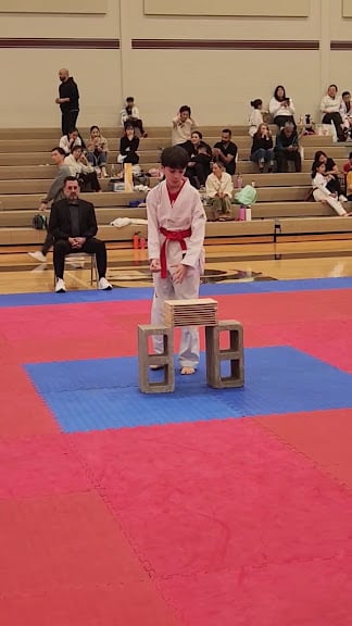 Farfan's Taekwondo — Arlington, Texas (2)