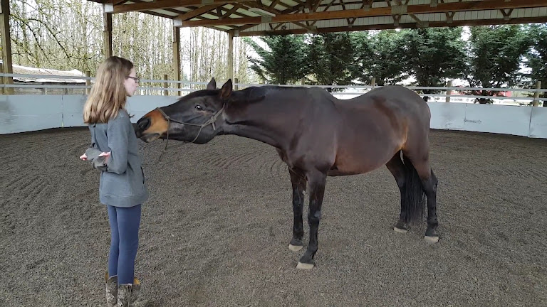 Farmhill Equestrian Center — Ridgefield, Washington (3)