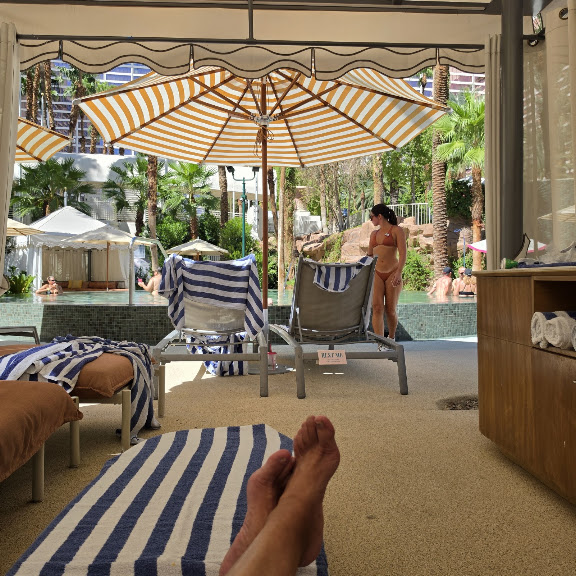 Flamingo Pool at Flamingo Las Vegas — Las Vegas, Nevada (2)