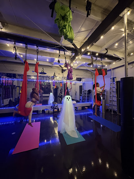 Fling Bungee Fitness - Pole Fitness, Lyra Hoop, Aerial Yoga, Kickboxing, Strength Training, Trampoline & Bachelorette Parties — Noblesville, Indiana (2)