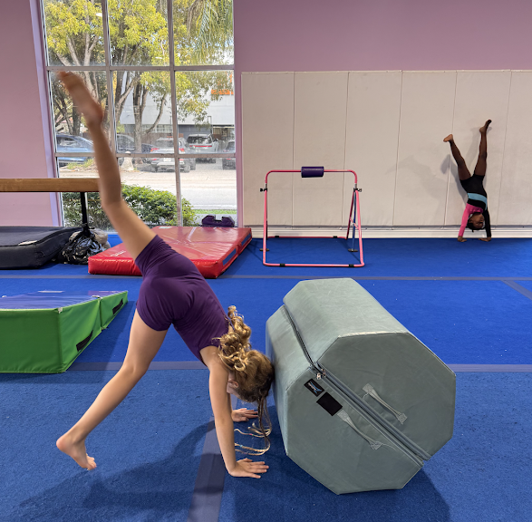 Flips & Friends